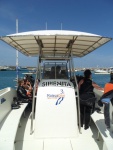 410978_438078176216891_1496988062_o_438078176216891.jpg