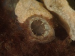 p6118203_34997210454_o.jpg