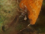 p6118205_35837417845_o.jpg