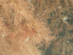 p6118256_35027746863_o.jpg